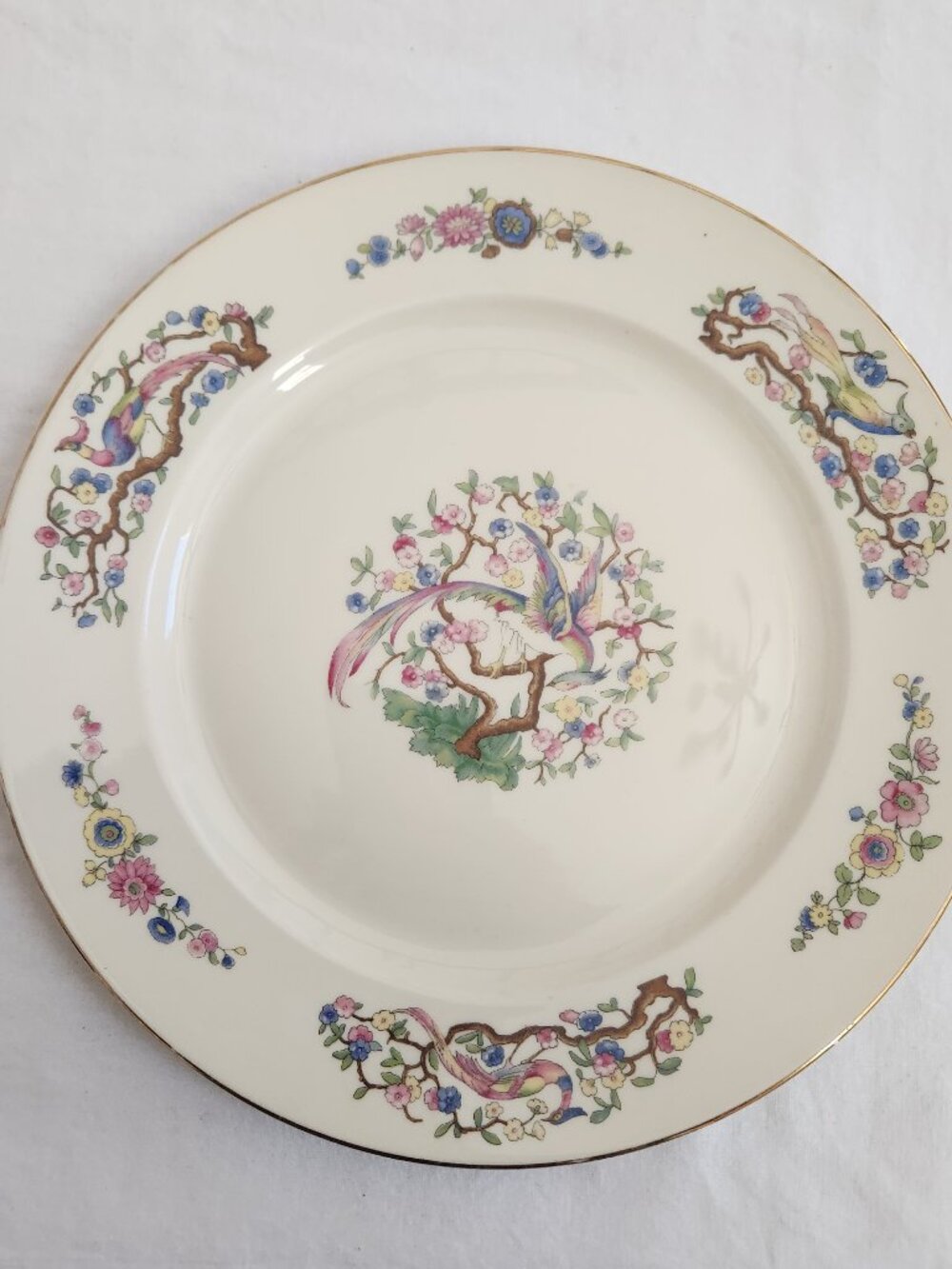 Vintage Rosenthal Continental Bavaria Ivory 18 Dinner Plate